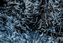 _DSC2375