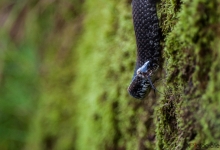 _DSC0640-2