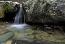 _DSC0006
