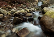_DSC0061