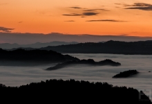 _DSC0082