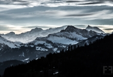 _DSC0188