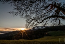 _DSC0235