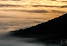 _DSC0257