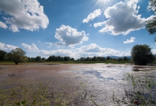 DSC0341