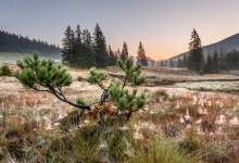 _DSC0402-HDR