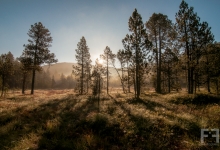 _DSC0450