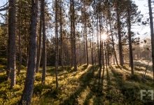 _DSC0475