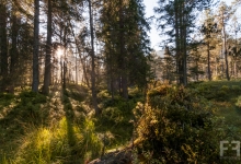 _DSC0485