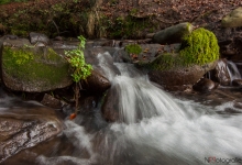 _DSC0630