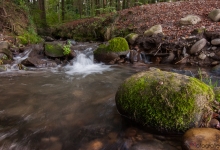 _DSC0640