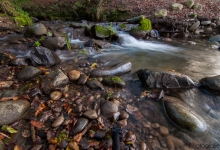 _DSC0660