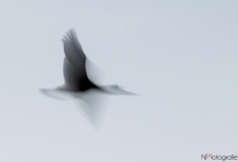 _DSC0770